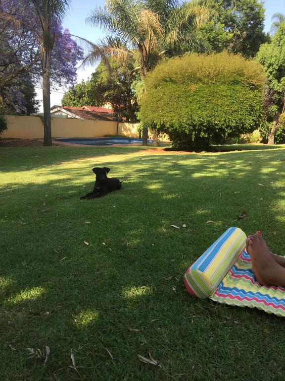 Khuvena Guesthouse Randburg Bagian luar foto